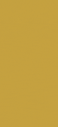 spot_img