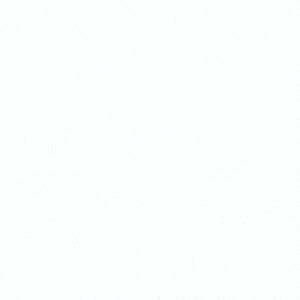 spot_img