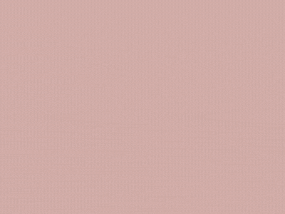 spot_img