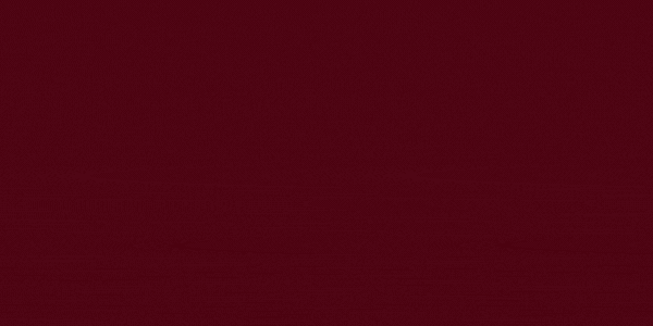 spot_img