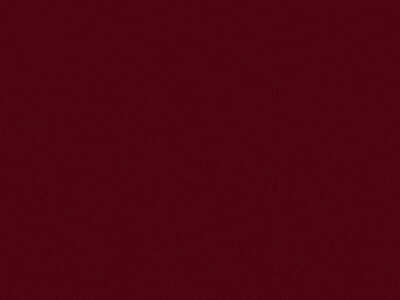 spot_img